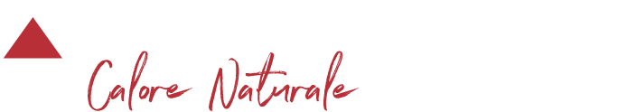 light logo